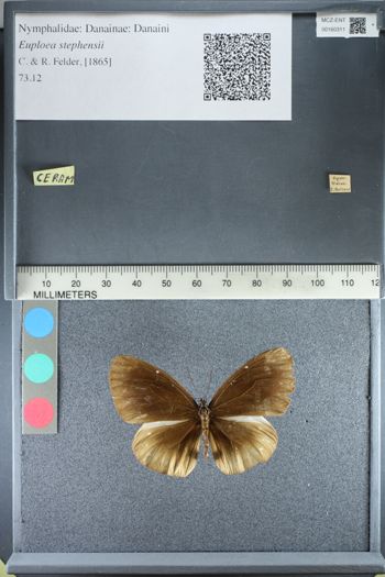 Media type: image;   Entomology 160311